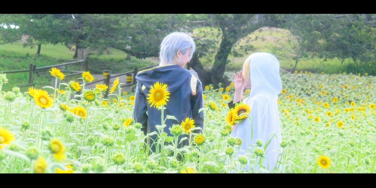 akimaru_camera's tweet photo. cos ➵ 刀剣乱舞

🌻
🌻

No.95(@simizu_san__ )
No.158(@frope_1208 ) https://t.co/MJeKtJv09I