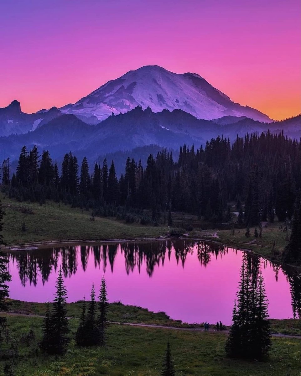 Skylinehaven76's tweet photo. Mount Rainier national park 🏞️ https://t.co/7Eyu966lEO