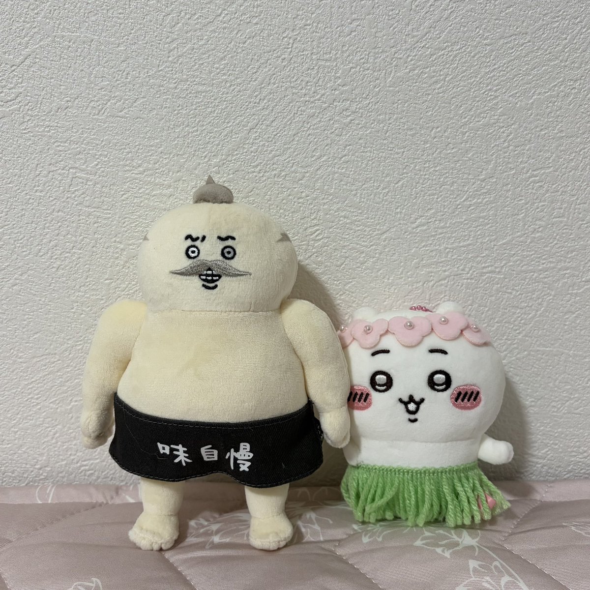 chii_k64's tweet photo. 島二郎迎えました！㊗️ https://t.co/CN8QXDVvaO