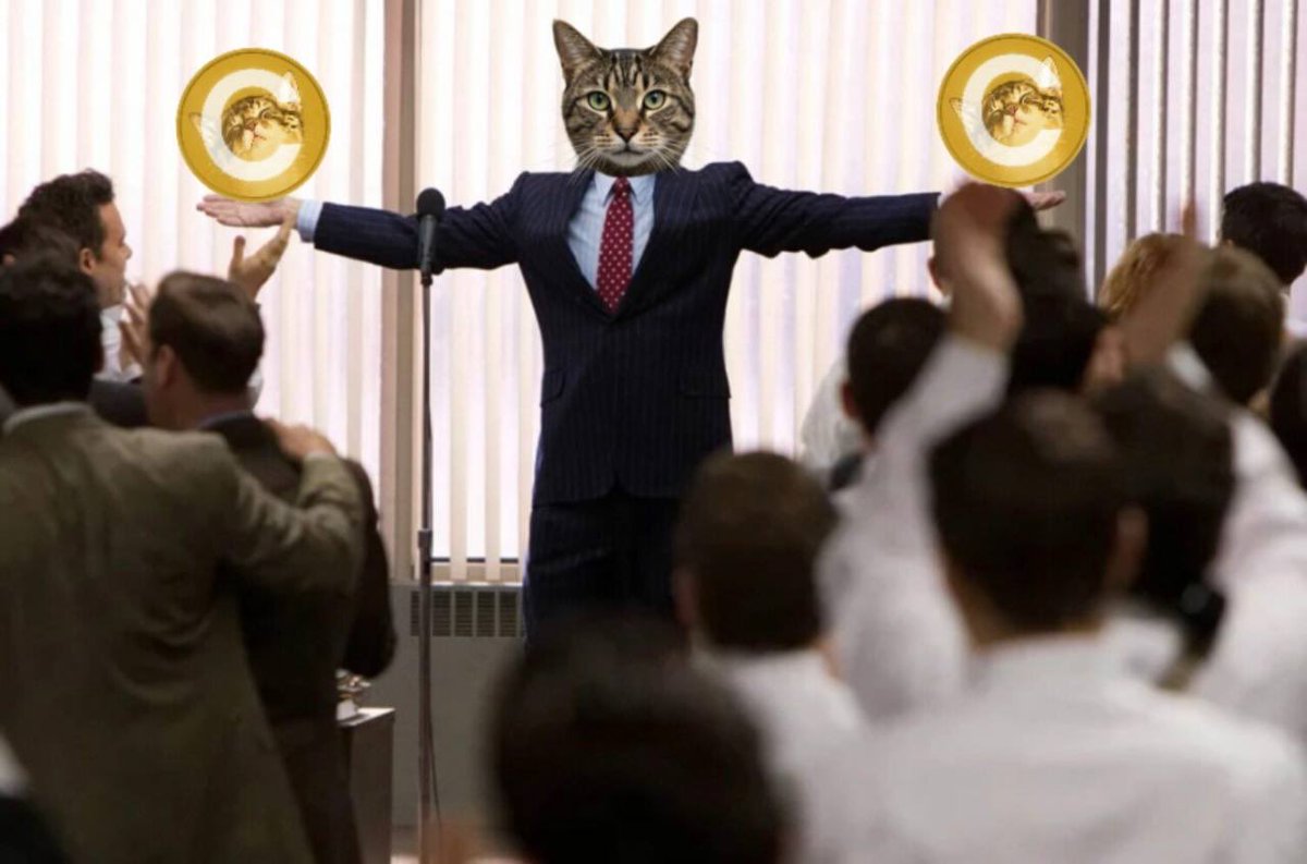PoorGoat_'s tweet photo. GM. Time to get back to work. 🐈💛 https://t.co/mH6kIJs4D8