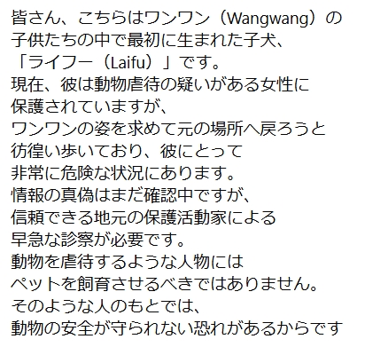 280922michi_12's tweet photo. #旺旺の子供で最初に生まれた、#ライフー(Laifu)
現在、彼は動物虐待の疑いがある女性に
保護されていて、彼にとって
非常に危険な状況にあります。
情報の真偽はまだ確認中ですが、
信頼できる地元の保護活動家による
早急な保護が必要とのこと。
https://t.co/sacU98EDWn https://t.co/w4obx5U5q6