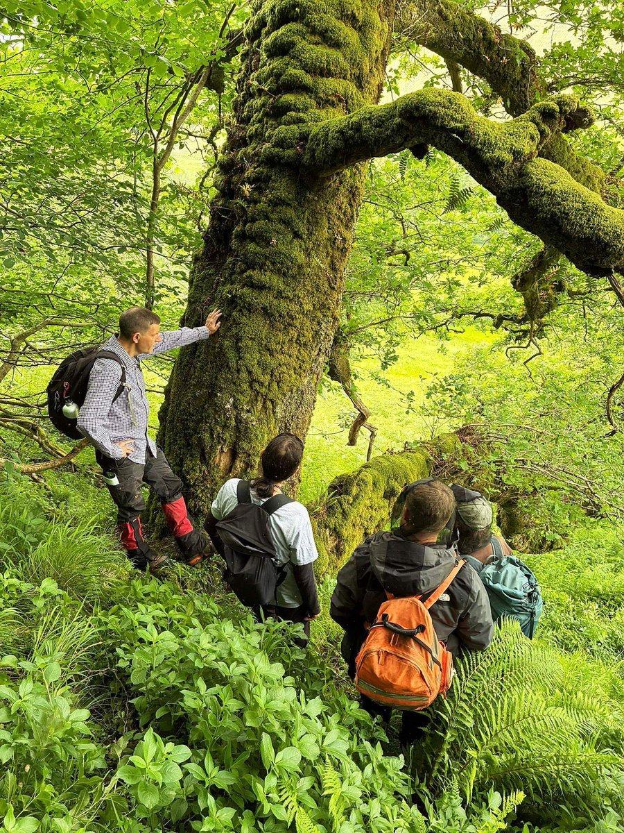 ACTinArgyll's tweet photo. Have you been involved in our rainforest work in Argyll? We'd love to hear from you. The survey takes just 5 minutes and closes Friday 21 August 👇
https://t.co/ie6aND6n16
📷 Stephen Carter
@ASRainforest 
#ScotlandsRainforest #Argyll https://t.co/8PK7RfMwNV