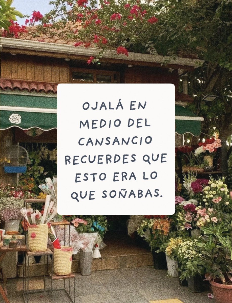 soysilencieux's tweet photo. https://t.co/RicUTxNkI6