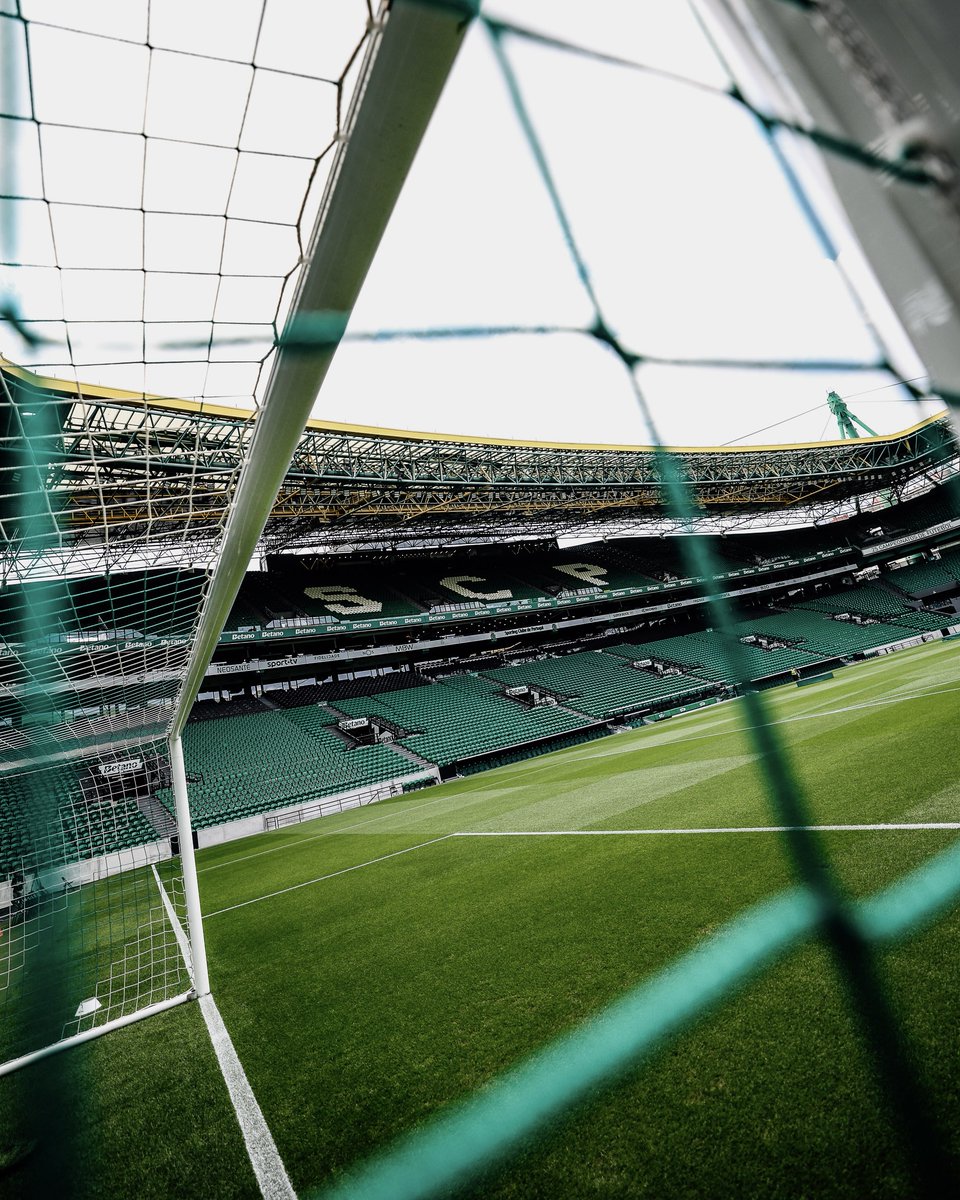 SportingCP's tweet photo. 𝟐𝟑 𝐀𝐍𝐎𝐒 de histórias para contar em nossa Casa 🏡

#NesteDiaSCP, em 2003, era inaugurado o Estádio José Alvalade 💚 https://t.co/p1S9e79EO9