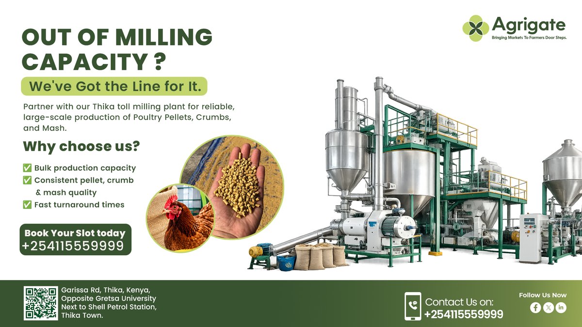 AgrigateKenya's tweet photo. Feed prices are crushing poultry farmers right now 😤

Agrigate Thika toll milling plant is open for bulk Poultry Pellets, Crumbs &amp; Mash.

Consistent quality. Fast turnaround. Better margins.
Book today → +254 115 559 999 

#PoultryFarmingKenya #Kazilonge #ChickenFeedKE #Thika https://t.co/85bc0JsMot