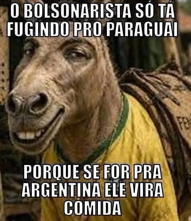 carvalho_harlen's tweet photo. https://t.co/pf8Y5M3DKW