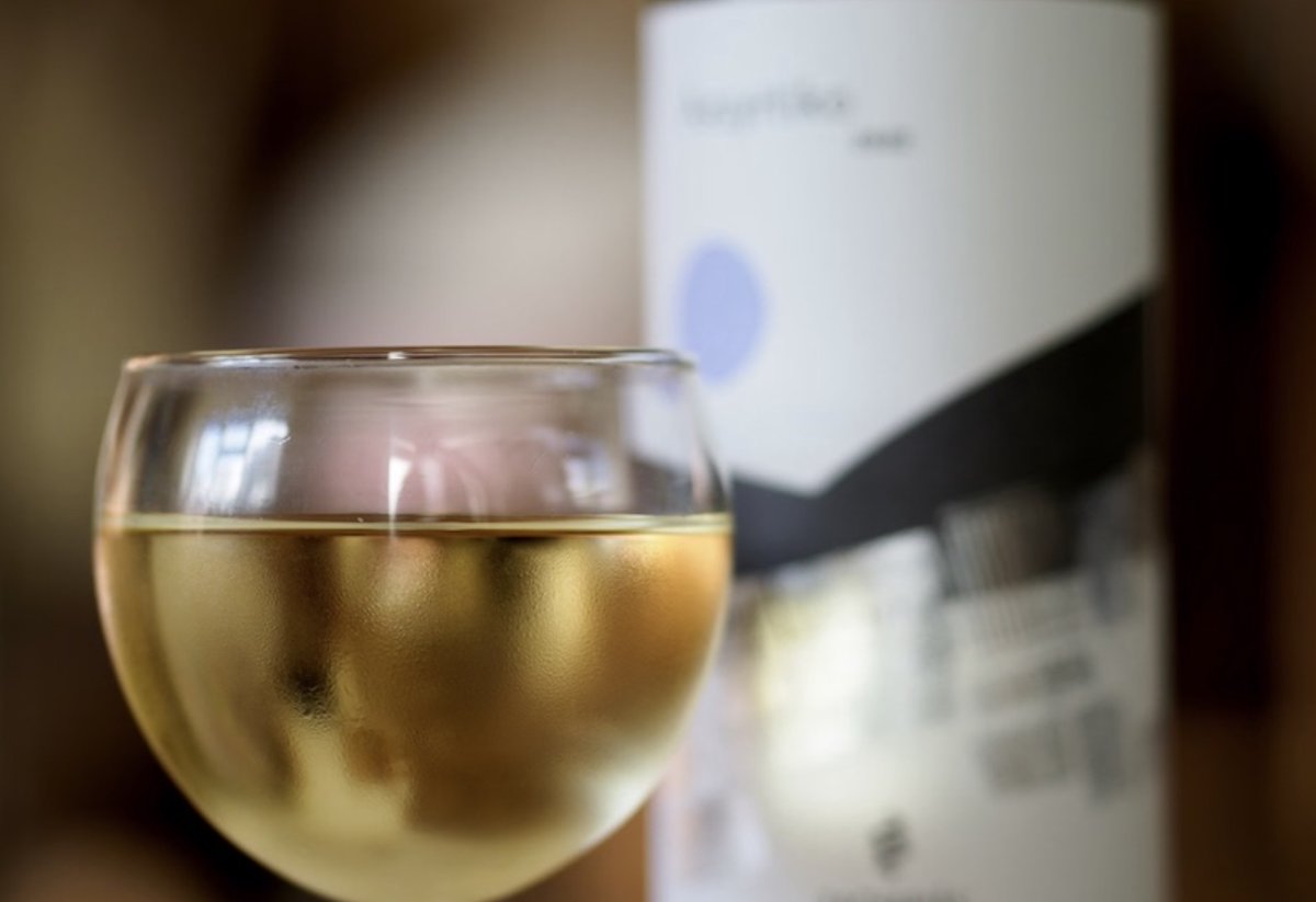ecom_news's tweet photo. 🍷 #Œnotourisme: L’Observatoire #Winalist 2026 révèle qu’un visiteur sur deux a moins de 35 ans. L’œnotourisme se rajeunit fortement ! Lisez notre article. 🔗 https://t.co/saguSqHXii #Vin https://t.co/XgNQ8k6I6Z