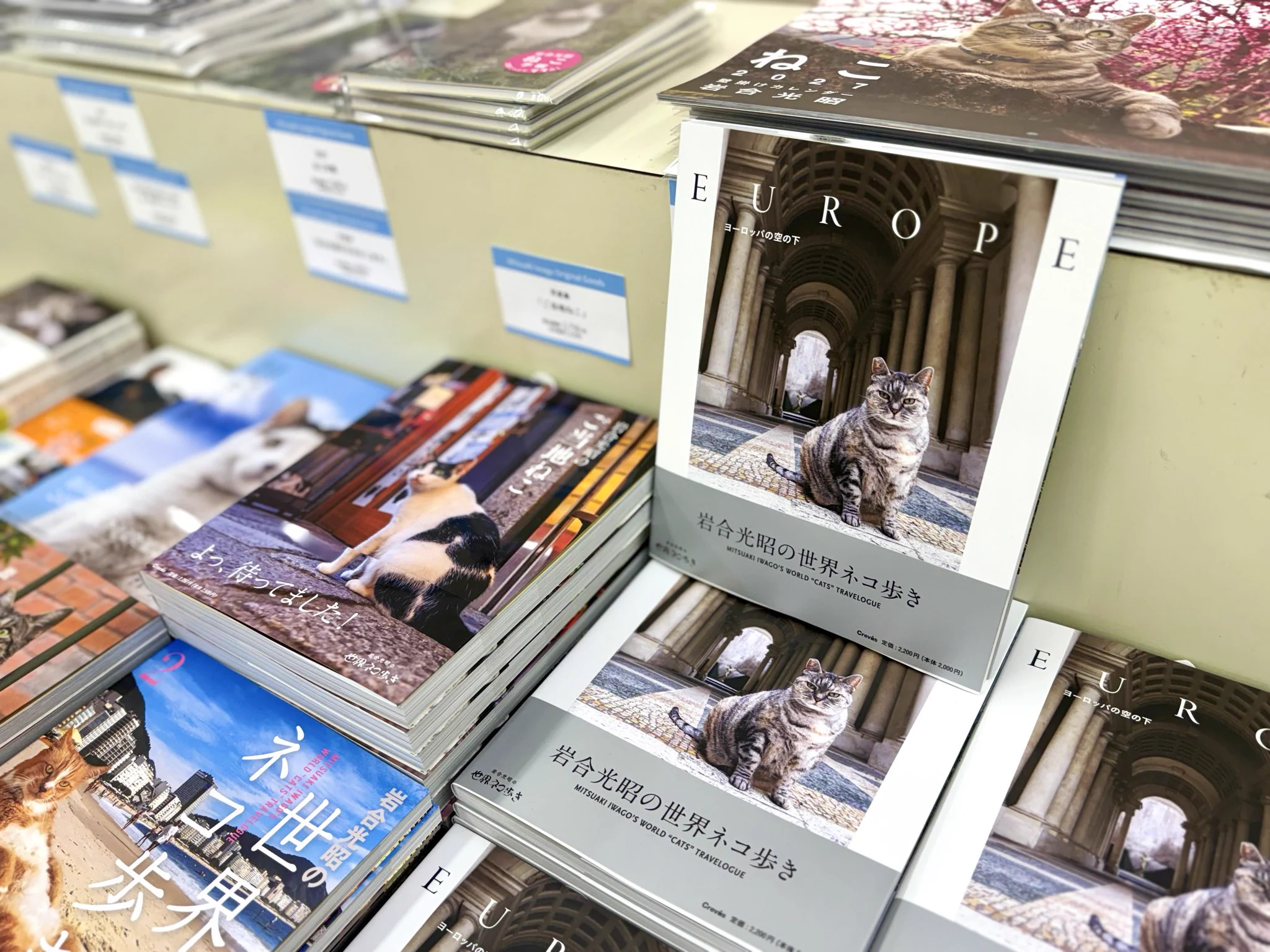 広島の百貨店 福屋のフックン on X: 