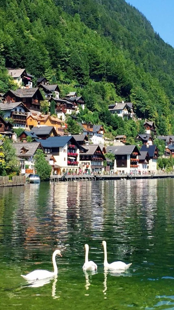 _Naturaee's tweet photo. Austria https://t.co/P3JYyREPlW