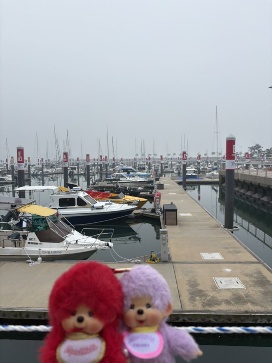 mariya777223's tweet photo. 聖地巡礼記録
①Wangsan Marina

仁川空港からタクシーで約20分(約15,000w)
143 Wangsanmarina-gil, Yeongjong-gu, Incheon

ここでみょんとビニがタイタニックしてたのかと思うとしみじみ🥹

#ASTRO #聖地巡礼 #MJ #JINJIN #CHAEUNWOO #MOONBIM #ROCKY #YOONSANHA https://t.co/no4ZrLABtB