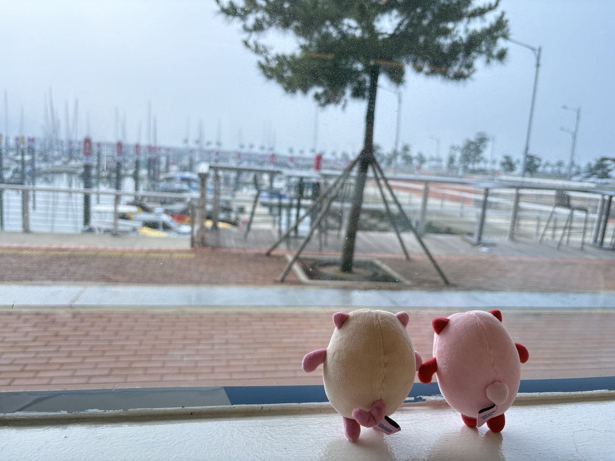 mariya777223's tweet photo. 聖地巡礼記録
①Wangsan Marina

仁川空港からタクシーで約20分(約15,000w)
143 Wangsanmarina-gil, Yeongjong-gu, Incheon

ここでみょんとビニがタイタニックしてたのかと思うとしみじみ🥹

#ASTRO #聖地巡礼 #MJ #JINJIN #CHAEUNWOO #MOONBIM #ROCKY #YOONSANHA https://t.co/no4ZrLABtB