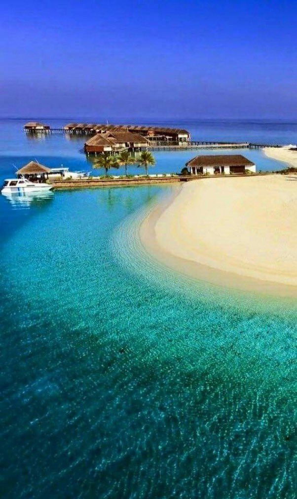 _Naturaee's tweet photo. Capo verde https://t.co/HhbdJfS7mQ