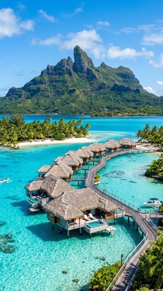 _Naturaee's tweet photo. Capo verde https://t.co/HhbdJfS7mQ