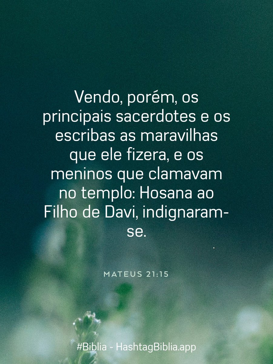 JoseMagazoni's tweet photo. #Biblia https://t.co/Qf8JC2j1cA https://t.co/6U2J2zxASV