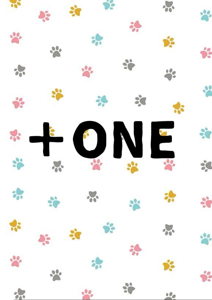 asahinata202307's tweet photo. 【C108新刊サンプル】（1/2）
『+ONE』
・エストレ♀長編小説本
・三年経過後、両思い時空の二人が学園で超大型犬を預かる話
・ほのぼの7割、甘々3割
#C108 https://t.co/o2BI8hjDQF