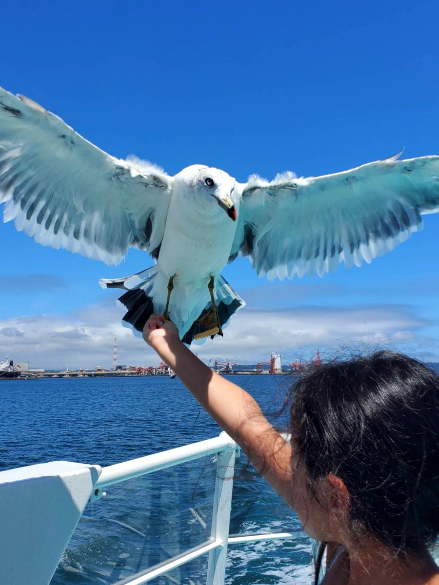 daisusakekasu's tweet photo. 家族旅行🐦️いわき！ https://t.co/JugS5Ct4yj