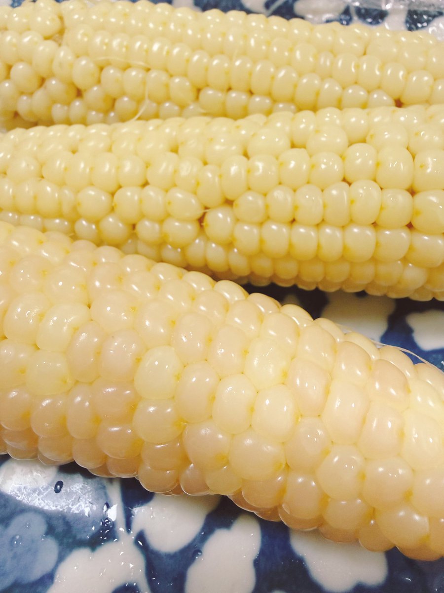 ikuMinority193's tweet photo. 子供の頃から普通のとうもろこしよりもちとうもろこし(もちきび)が好きでずっと食べたくてでもお店では売ってないから実家の母に種を送ってもらって義父母に植えてもらってたのが今日帰宅したら茹でてくれてて約30年ぶりに食べたらやっぱりおいしい😋
紫じゃない薄黄色バージョン
もちもちしてて大好き https://t.co/VHSf3XkOZG