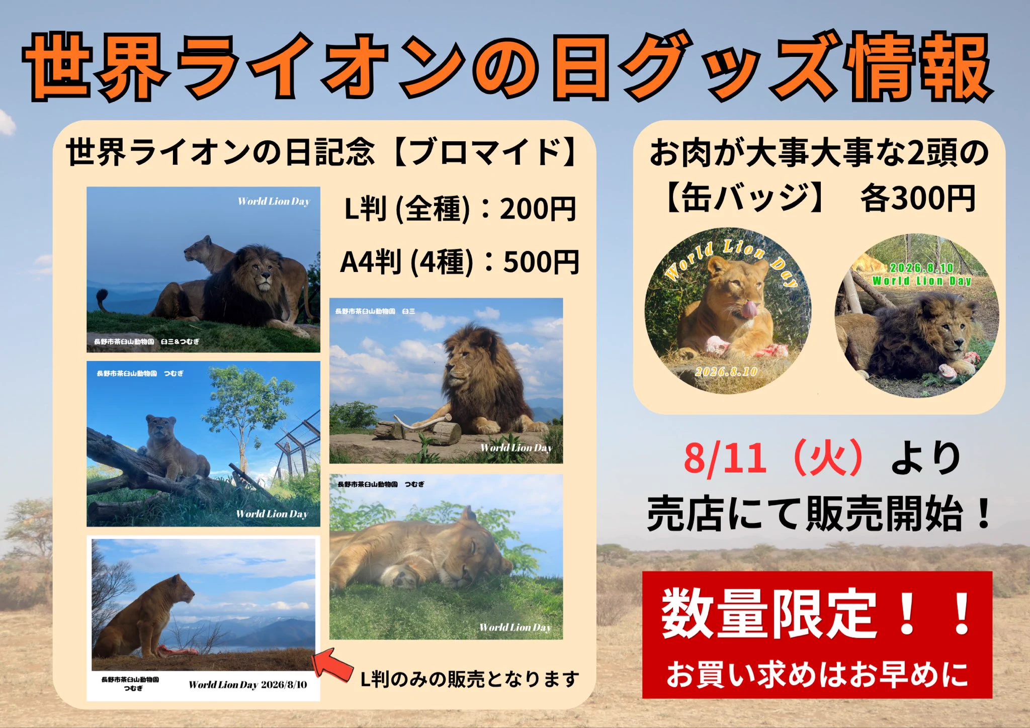 長野市茶臼山動物園【公式】 on X: 