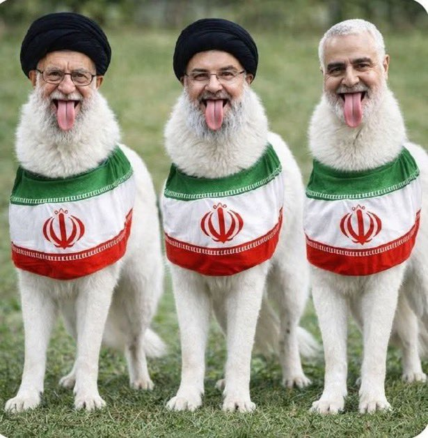CarlaHayek2's tweet photo. الصورة تتكلم عن نفسها https://t.co/ByKQef24nG