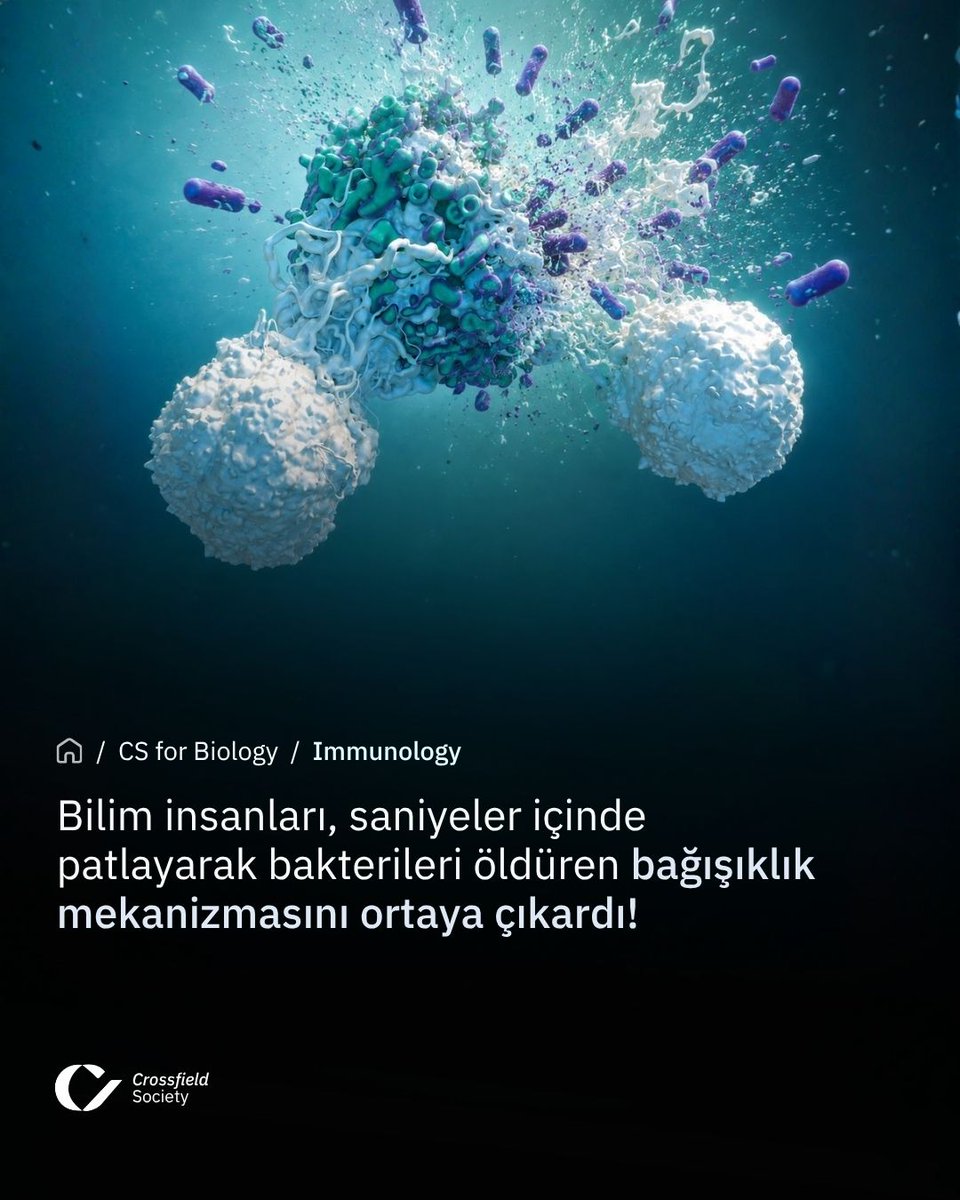 CSBIOTurkiye's tweet photo. Bilim insanları, saniyeler içinde patlayarak bakterileri yok eden yeni bir bağışıklık hücresi keşfetti. Bulgular gelecekte enfeksiyon ve kanser araştırmalarına katkı sağlayabilir.

#Bilim #İmmünoloji #Biyoteknoloji https://t.co/Q7VBGm8fgB