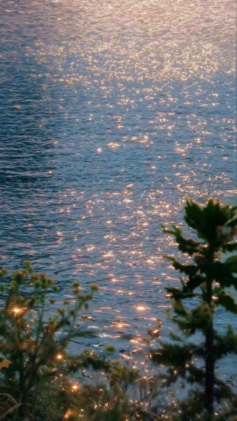 _Naturaee's tweet photo. Healing view >>> https://t.co/SmXwI3phsC