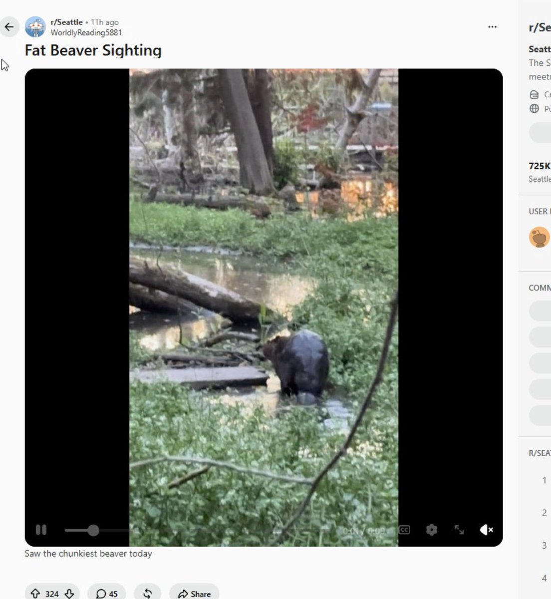 Jls_sln's tweet photo. Chonketha lmao fat ass beaver https://t.co/hgTxsPID2c