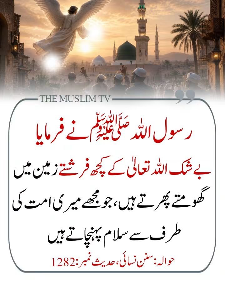 anayakhann8's tweet photo. سبحان اللّٰہ https://t.co/YETjHnUFFT