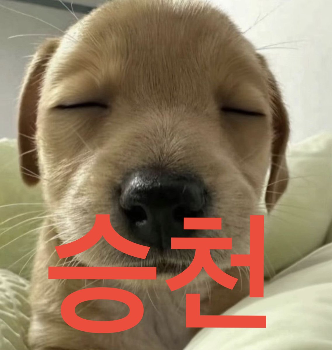 g8_eeen's tweet photo. https://t.co/b3eCfwlvkI