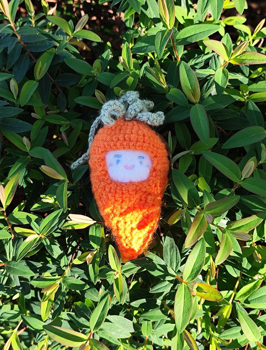 toadboucley's tweet photo. (–▽–⁠)~THREAD

hi everyone! i'm manon (aka toad)! i've been crocheting for a short while now, and ive always wanted to share the stuff i make. (and make things for other people (maybe you ‼️) too)!

(ig: @/toad.crochey) https://t.co/cQ7ldJEB0P