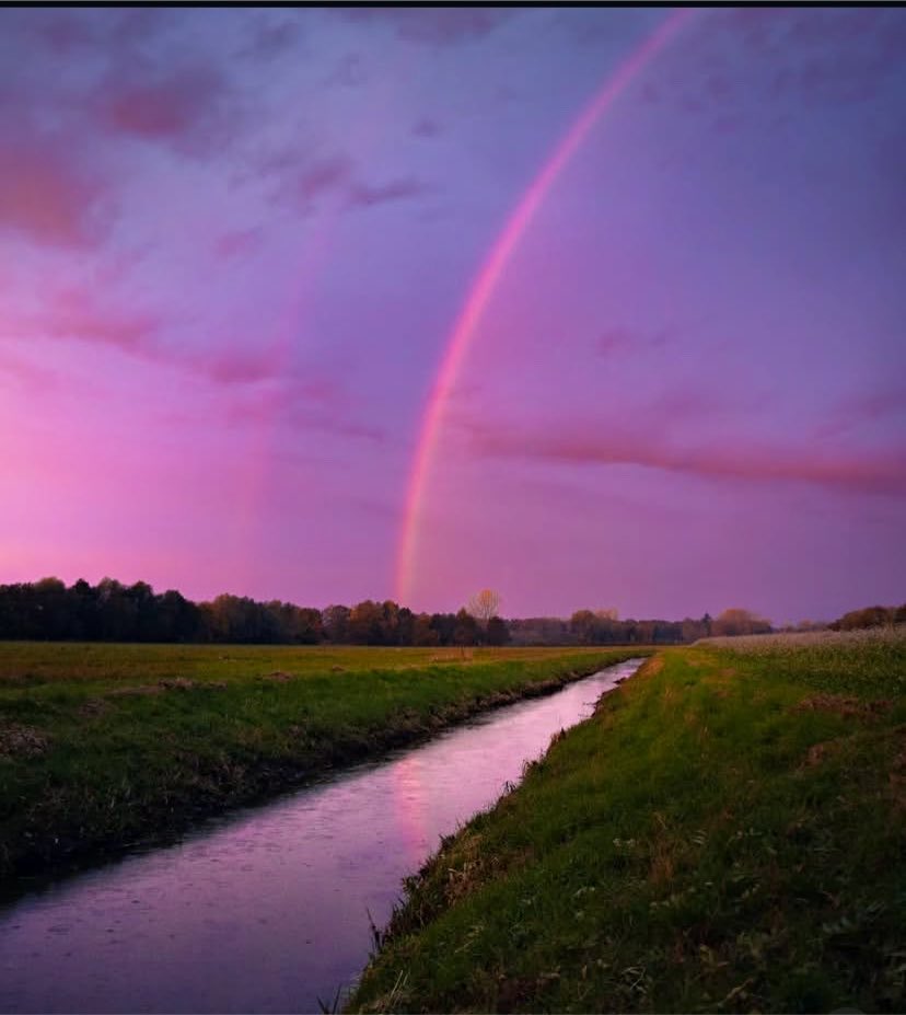 Nature__Gift's tweet photo. 🌈 https://t.co/sXwodesb64