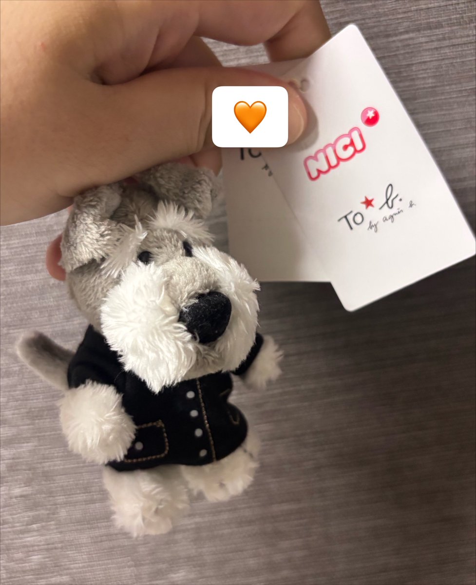 ymoon0323's tweet photo. agnes b.とNICIのコラボシュナ
届いた🧡 https://t.co/PfUH6ZhY4Y