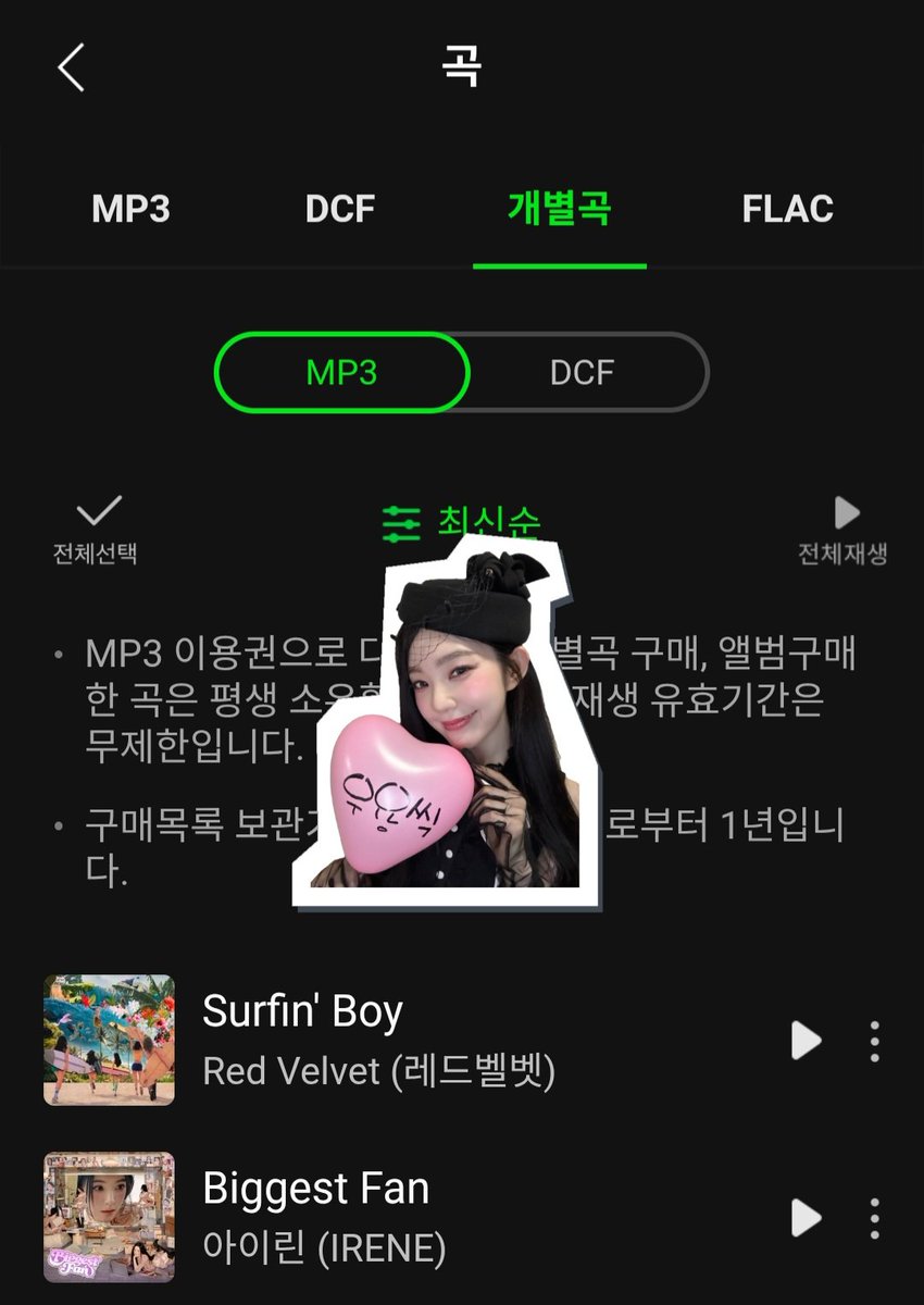 _DC_Irene's tweet photo. Surfin' Boy 다운총공 ✅️

용씩이들 개별곡&amp;FLAC 다운로드 2회 반영 됩니다 이용에 참고하세요! https://t.co/wvp3nNjHrx
