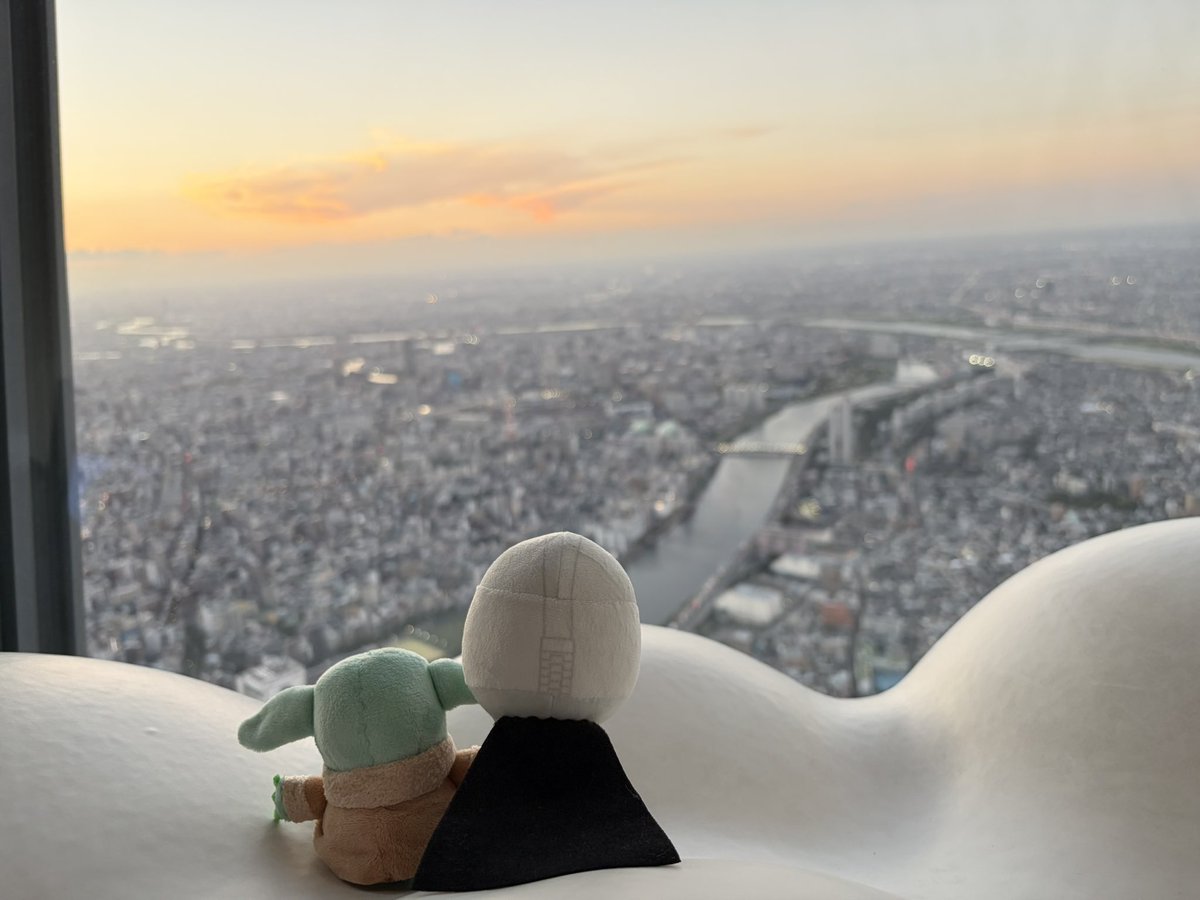 erk_1k2re's tweet photo. 海外の方が多くて、ぬい撮りしてるとめっちゃ見られるんだけど、この2人出した時にめっちゃネイティブな「Mandalorian…」を隣で囁かれました😌 https://t.co/A1UmrjVw93