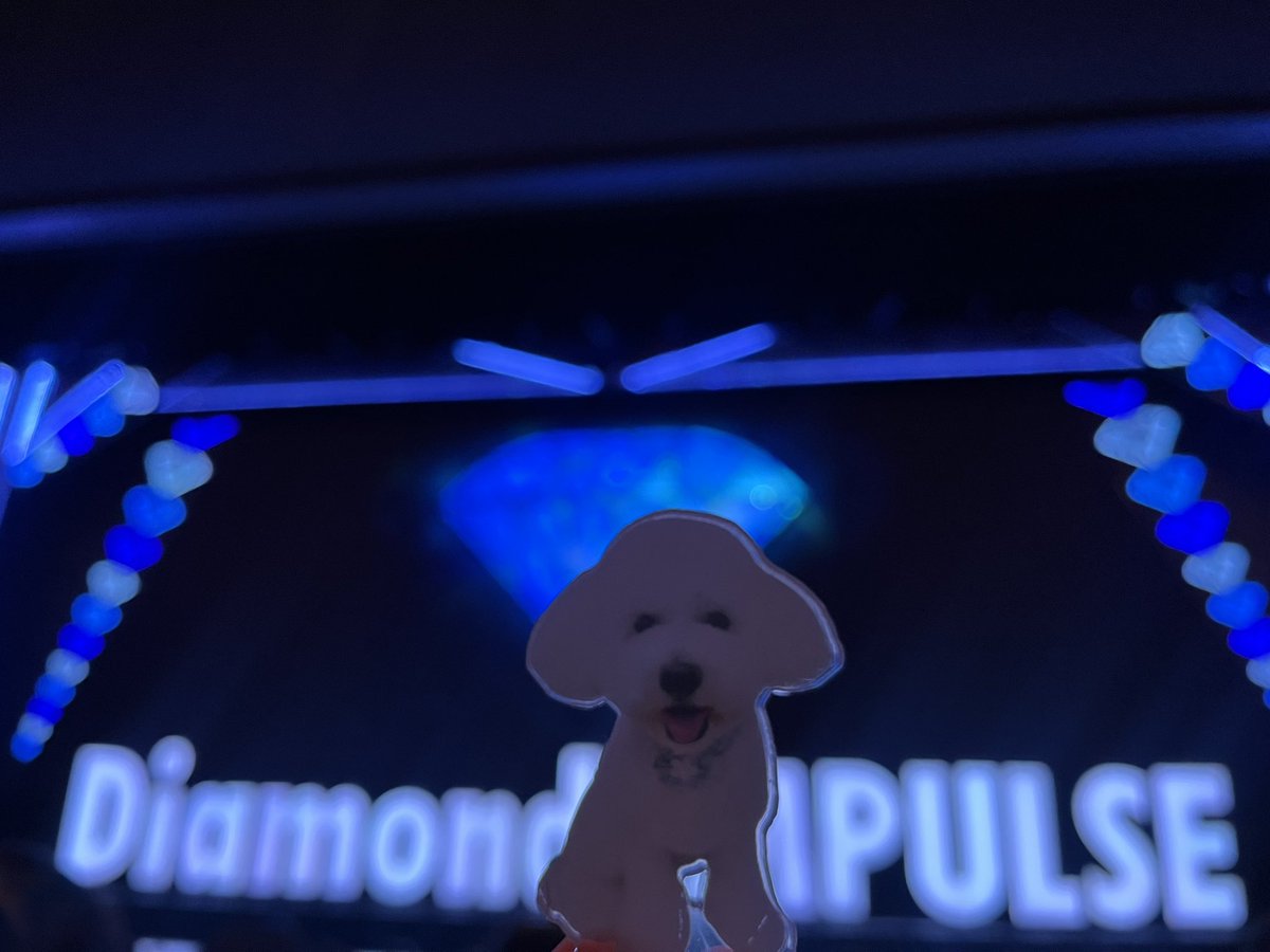 yamaweather's tweet photo. 白蜥蜴とDiamond Inupulse https://t.co/sfqPUztQO2