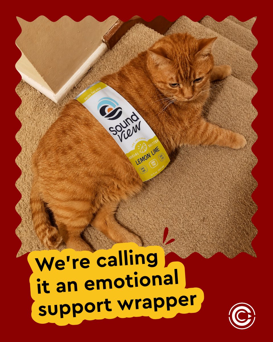clonecanabissct's tweet photo. Just stay pawsitive no meowtter what.
.
Do not use c@nnab!s if you are under 21 years of age. Keep c@nnab!s out of the reach of children. This is not an inducement to purchase c@nnab!s or c@nnab!s products.
.
Cat Lover, Cute Cat, Happy Pets, Pet Love, Furry Friends, Animal Lovers https://t.co/KgVZv6Wq7Q