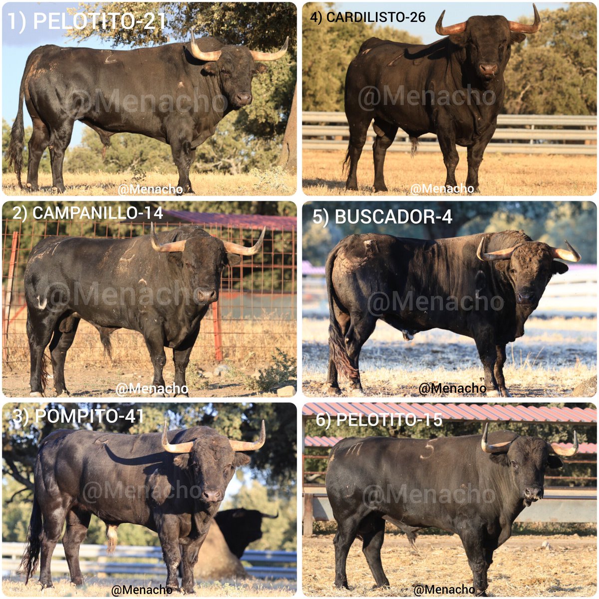 objetivoeltoro's tweet photo. 🔴 MADRID 🐂
Orden de lidia y datos de los toros de @JEnriqueValdefr para hoy en @LasVentas
#LuisDavidAdame #AlejandroMora #AlejandroPeñaranda 🍀
#Madrid #salamanca #campocharro https://t.co/uxBiy4B2yB
