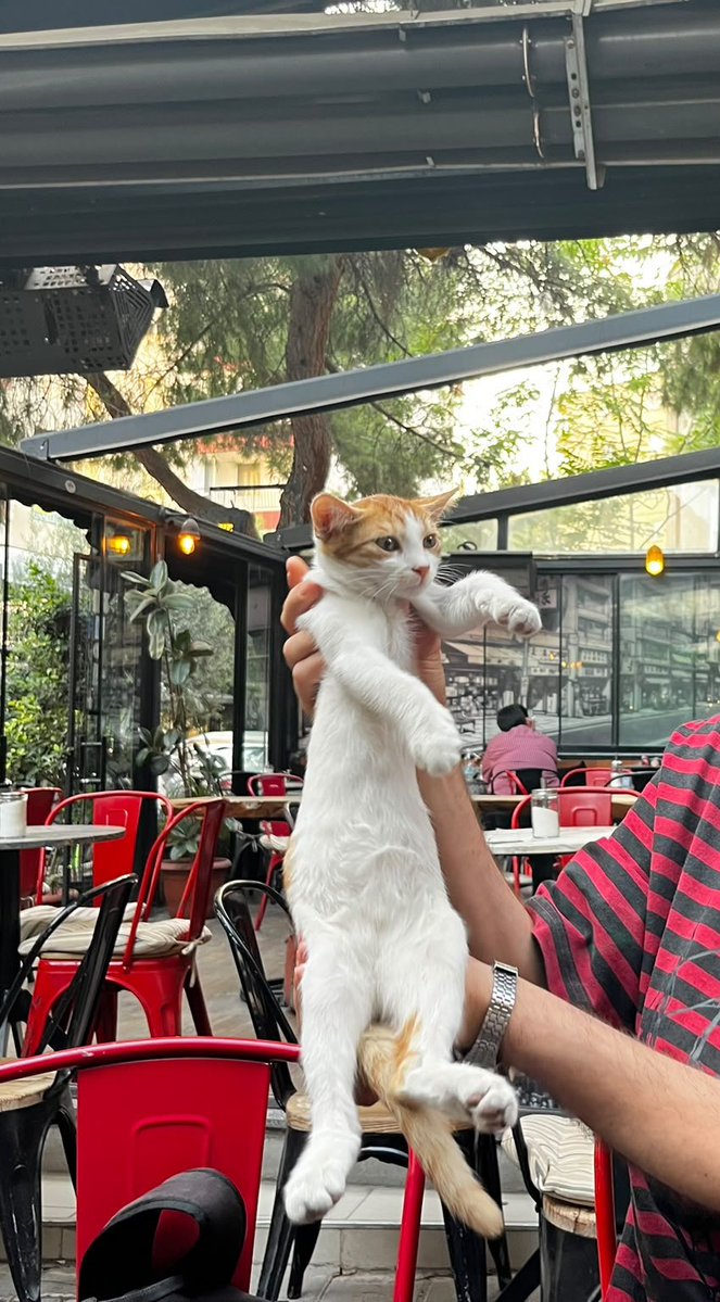 eva01divina's tweet photo. benden daha yakisikli oldugu ve tum ilgiyi ustune cektigi icin TUTUKLADİM https://t.co/dK5uQorPIh