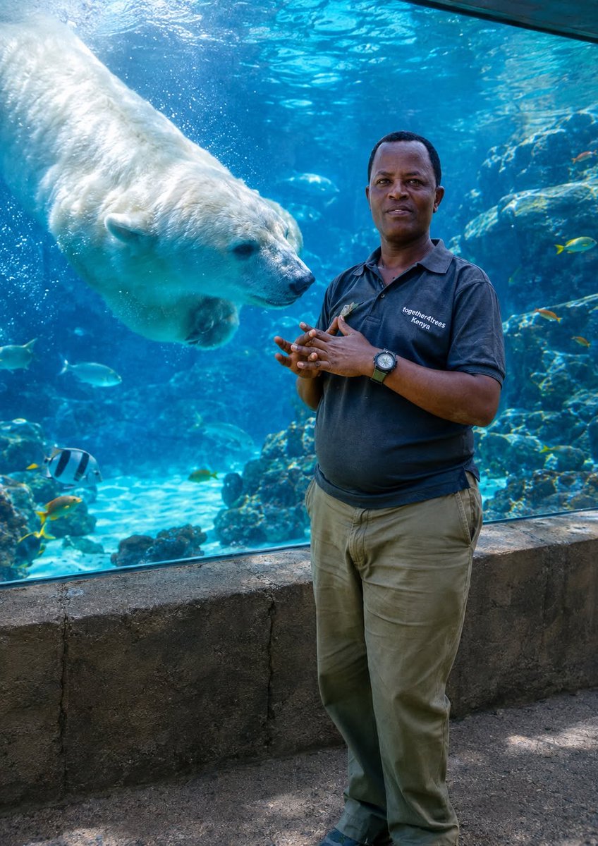 together4treesK's tweet photo. Zoos and aquariums are powerful conservation partners. Their work goes far beyond public education, they play a critical role in conserving wild animals, fungi, and plants through research, habitat protection, breeding programs, and environmental awareness.
Support conservation. https://t.co/fz8dnzYeyj