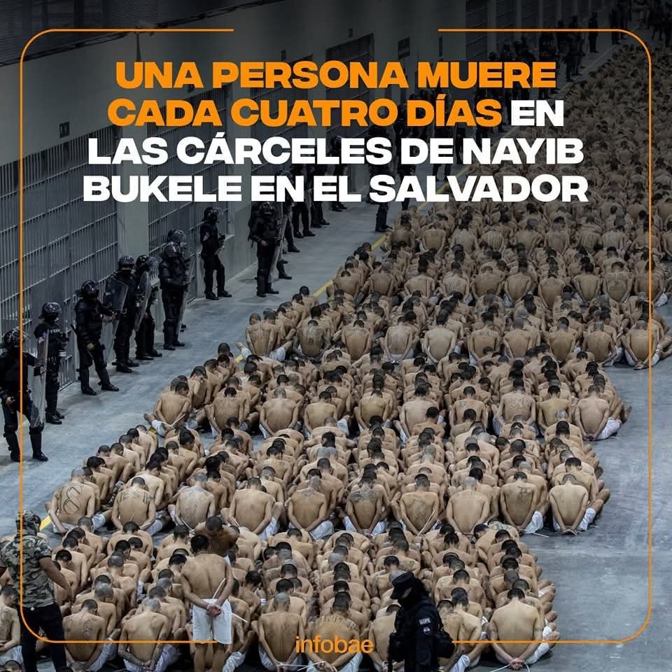 NoVive_Socialis's tweet photo. ¿Opiniones de Bukele? https://t.co/t15ZvgpLT2