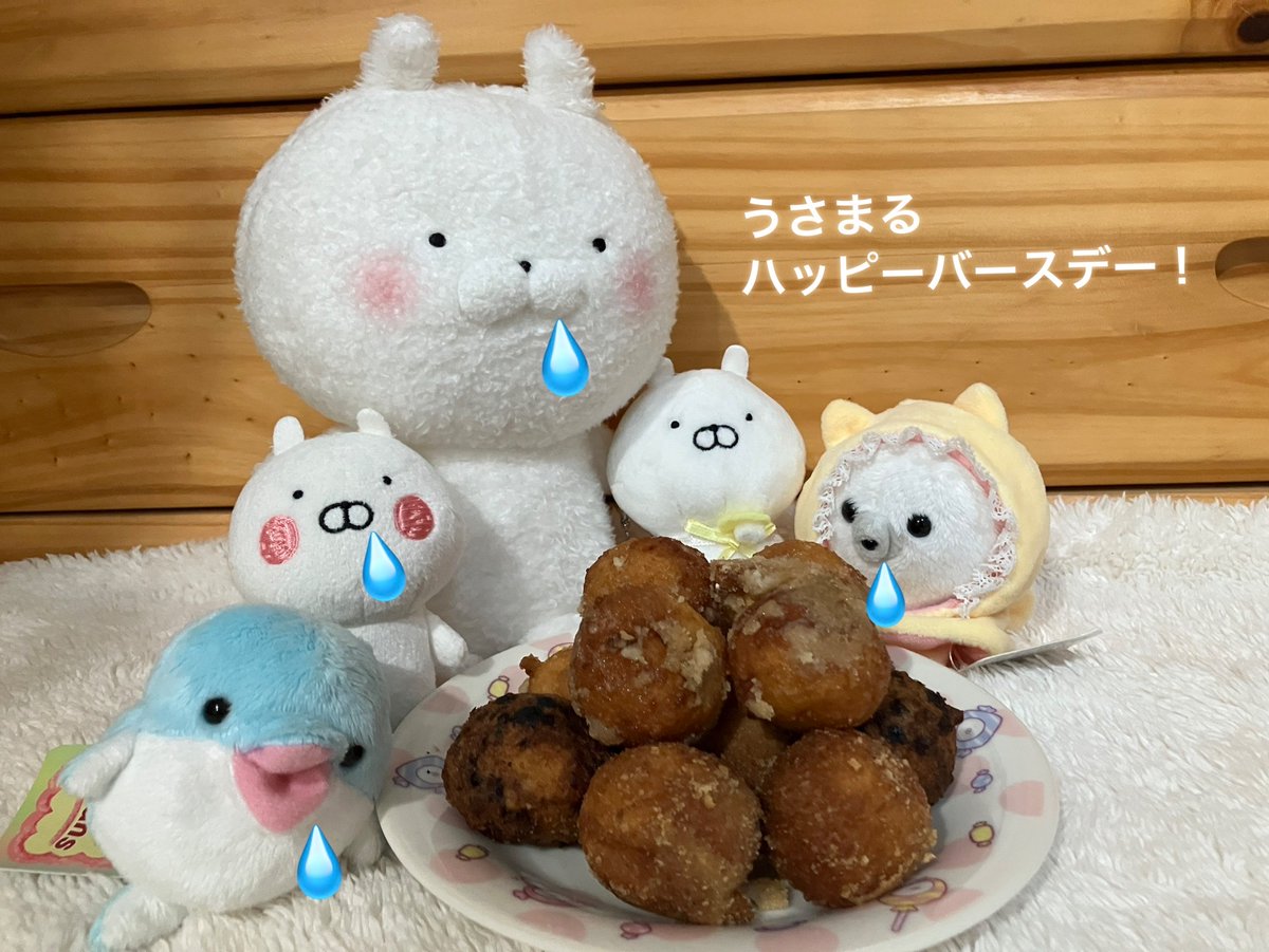 sc_2025's tweet photo. うどーなちゅ12こ！
うしゃまる　おめでともち！ https://t.co/1shmYEeC8f