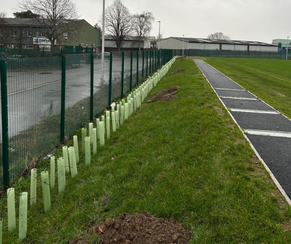 LandcraftUK's tweet photo. With the hot weather sticking around, it's a good reminder of how important our gardens and green spaces really are

Sustainable landscaping doesn't have to mean big changes. Small, thoughtful choices can help create outdoor spaces that are better for the environment https://t.co/10sUM7r8tt