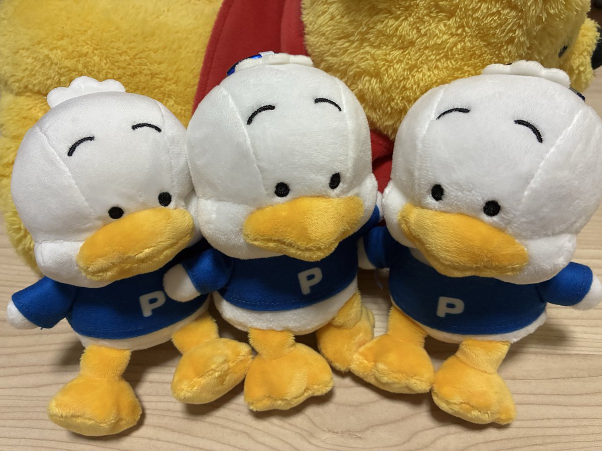 onekoro93's tweet photo. 今日もまたお友達がきてくれた🩵
チームペックル🪿🪿🪿 https://t.co/QISabE2AZU