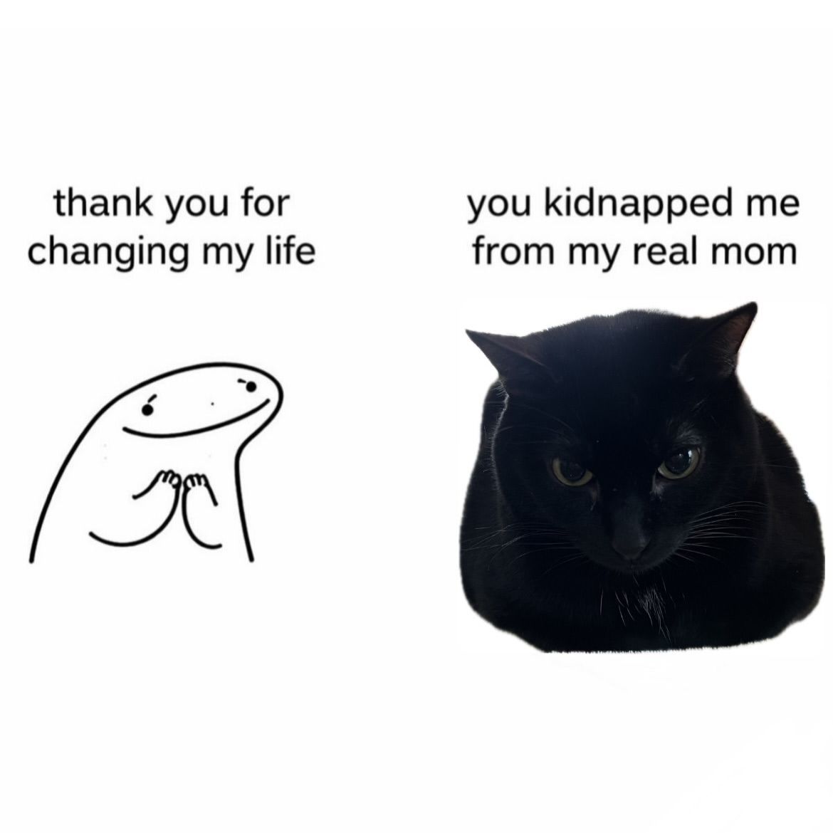 blackscats's tweet photo. 😭😭 https://t.co/CAc6bzpeId