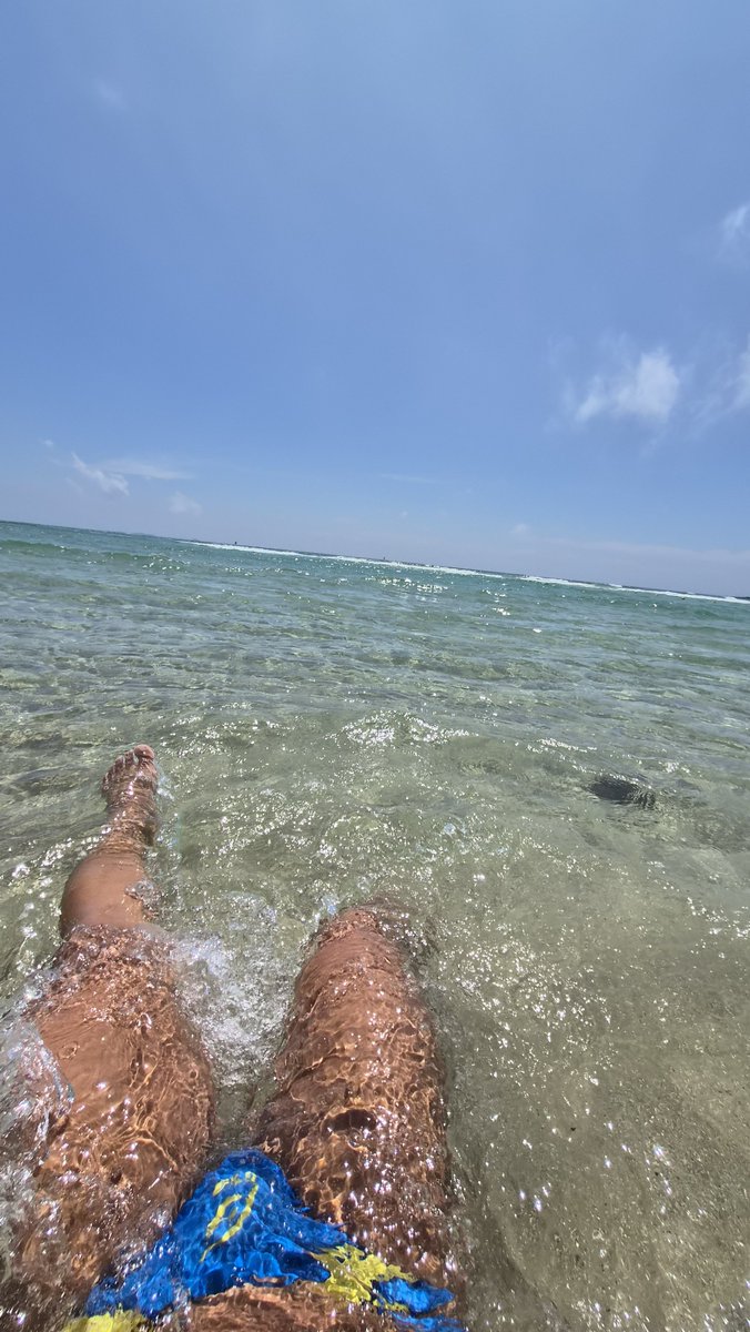 swim8eight's tweet photo. しにやばいやっさー🌊 https://t.co/HWMu8E7nSs