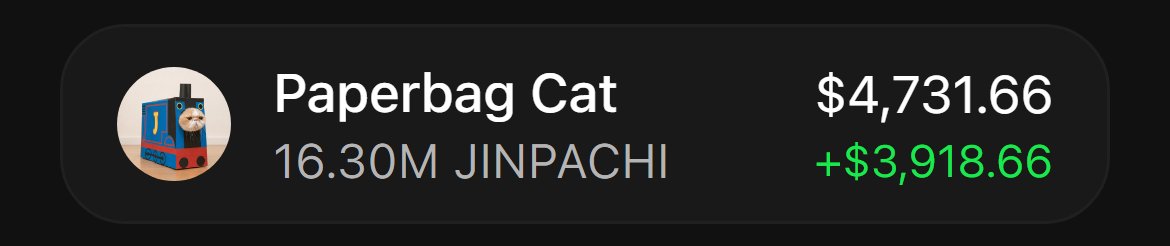 novensolana's tweet photo. $JINPACHI at $290k, sub 2 hours old.

paperbag cat with that energy. early enough. https://t.co/2jas7jWXu3