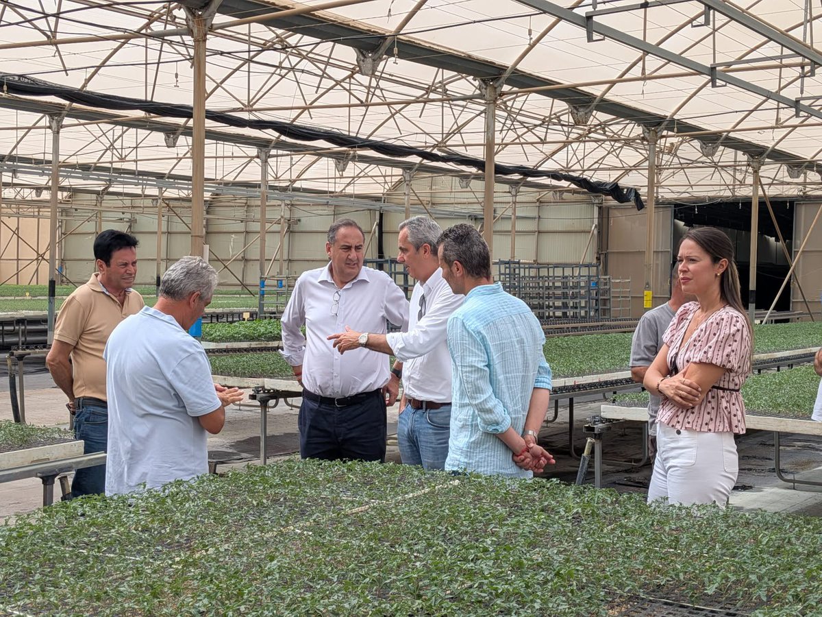 popularesgc's tweet photo. En La Aldea de San Nicolás hemos comprobado, una vez más, que el futuro de Gran Canaria pasa por escuchar, trabajar y estar presentes donde ocurren las cosas.

Ese es nuestro compromiso: conocer la realidad de cada rincón de la isla para impulsar soluciones que respondan a las necesidades de nuestros vecinos.

Porque una Gran Canaria más fuerte se construye desde cada uno de sus municipios. 💙