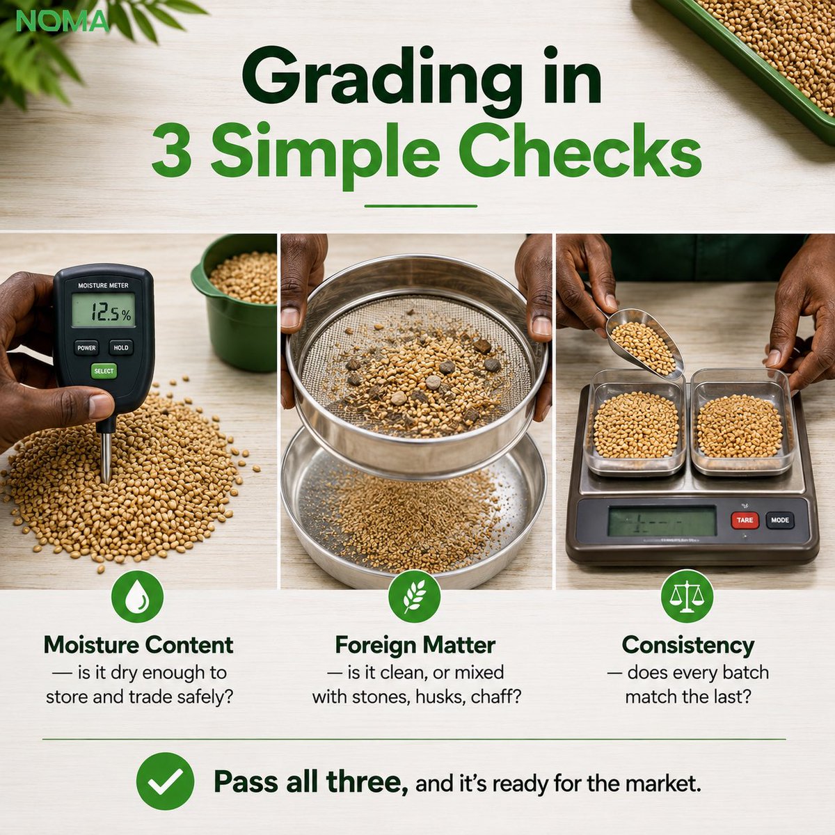 NomaServiceC's tweet photo. Ever wonder why not all grain is priced the same? 🌾
Before any commodity leaves our aggregation hubs, it's graded and checked for moisture, foreign matter, and consistency, so every batch meets the standard our buyers expect.

#AgriTech #QualityControl #NOMA #CommodityTrading https://t.co/mCEvBy3vK3