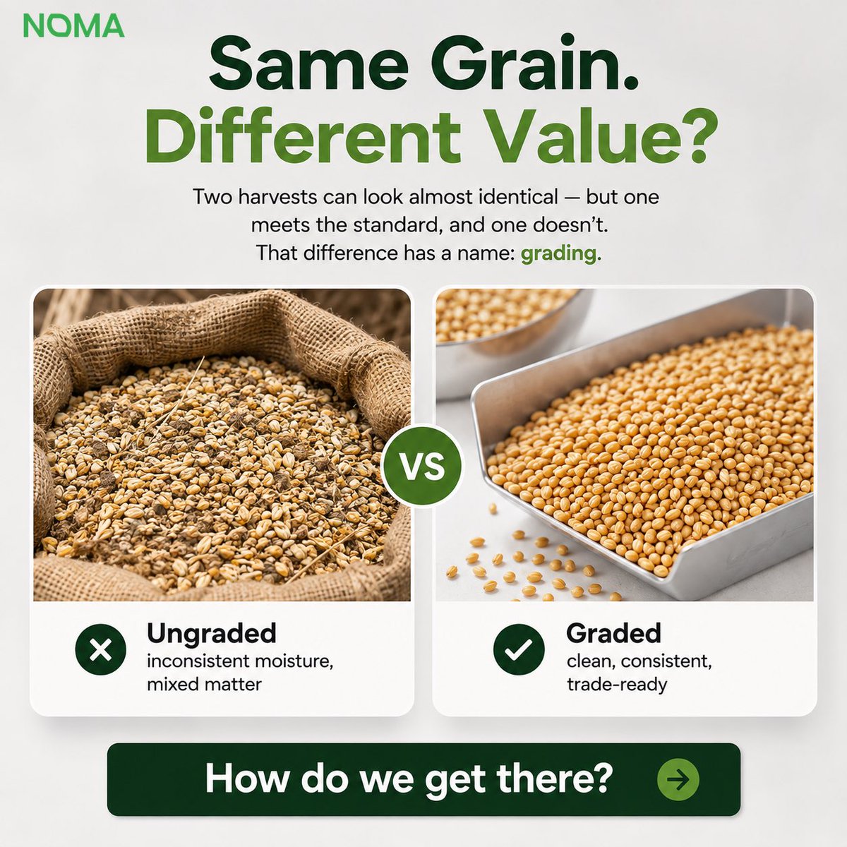 NomaServiceC's tweet photo. Ever wonder why not all grain is priced the same? 🌾
Before any commodity leaves our aggregation hubs, it's graded and checked for moisture, foreign matter, and consistency, so every batch meets the standard our buyers expect.

#AgriTech #QualityControl #NOMA #CommodityTrading https://t.co/mCEvBy3vK3