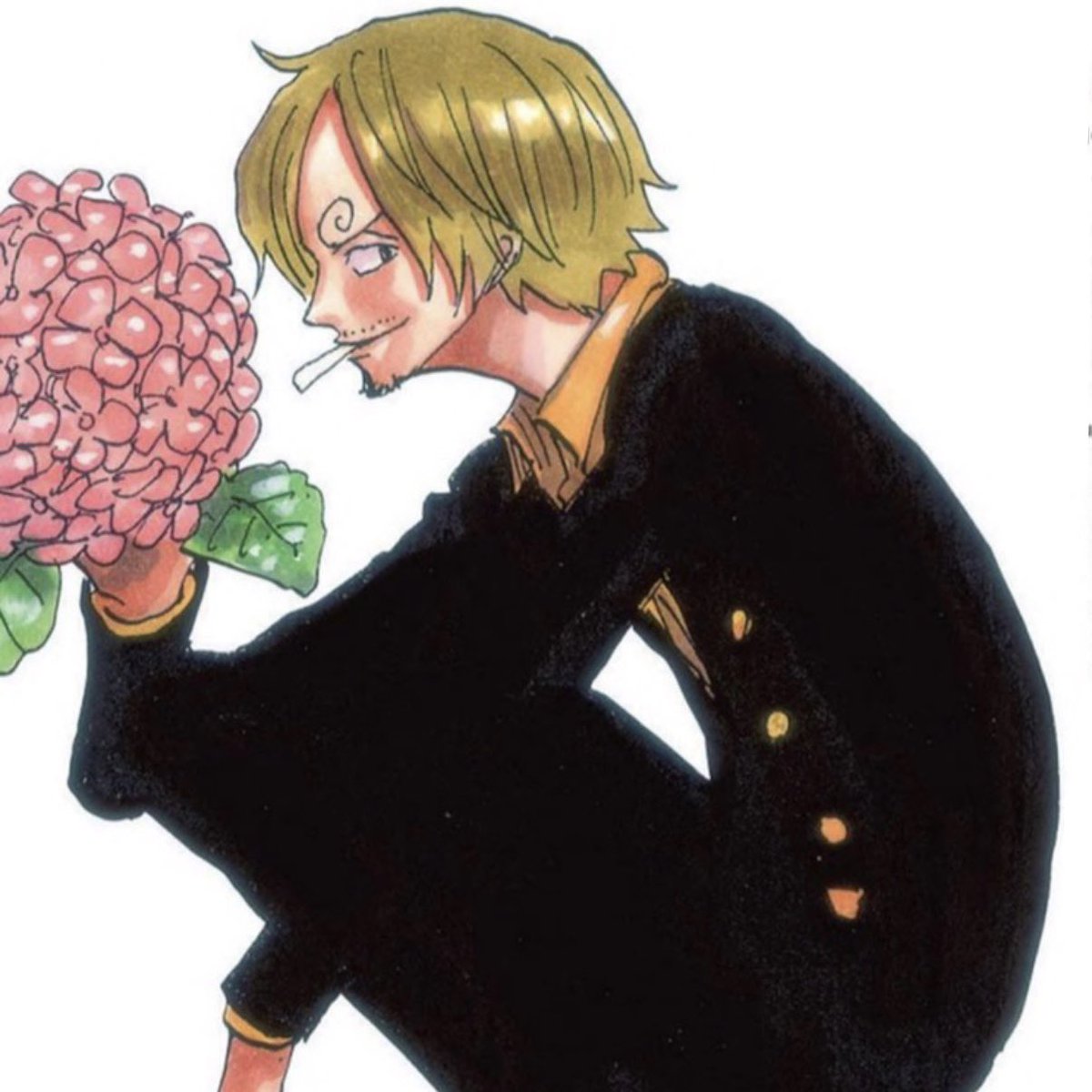 evolphobia's tweet photo. obsessed with this genre of sanji https://t.co/UQ3eCnmkSF