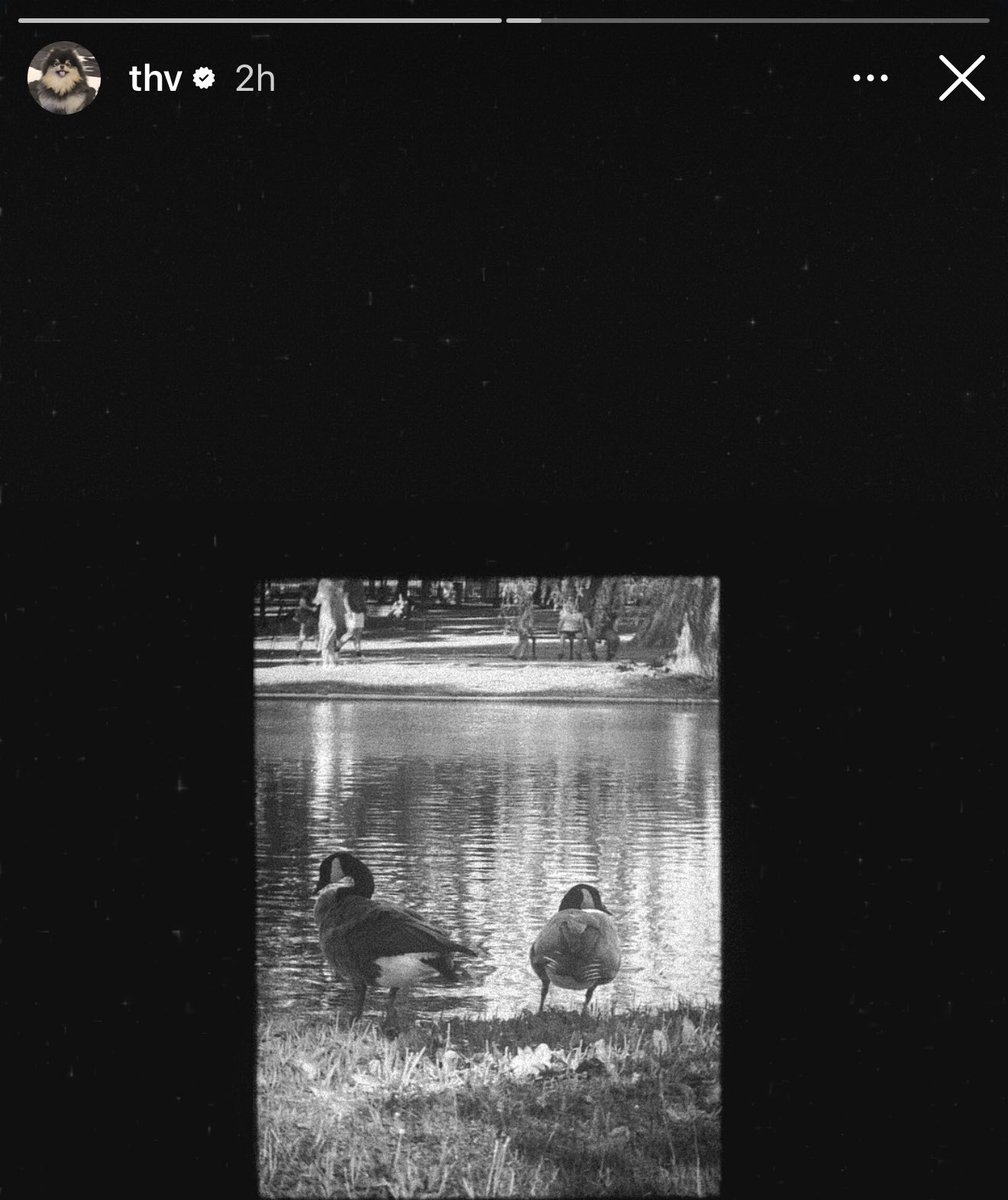 seokrirangs tweet picture